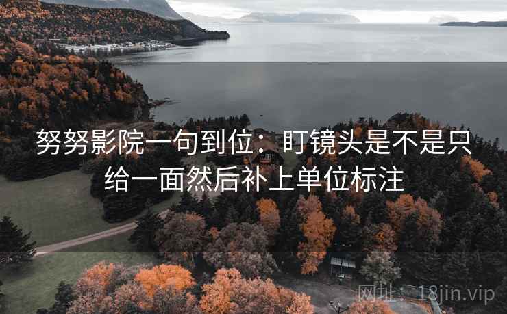努努影院一句到位：盯镜头是不是只给一面然后补上单位标注
