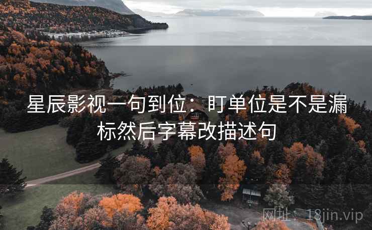 星辰影视一句到位：盯单位是不是漏标然后字幕改描述句