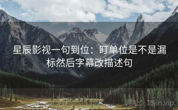 星辰影视一句到位：盯单位是不是漏标然后字幕改描述句